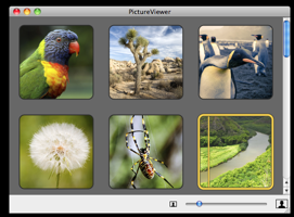 PictureViewer demo